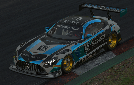 iRacing Coaching Session - 90 Minutes (Tom Reiher, Winward Racing eSports)